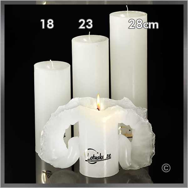 Lotus-Kerze Basic-Trend Gr.2 23cm weiß