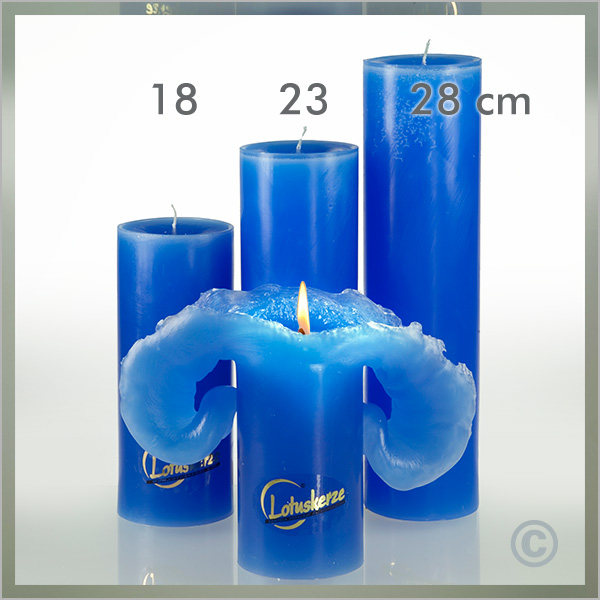 Lotus-Kerze Basic-Trend Gr.1 18cm blau