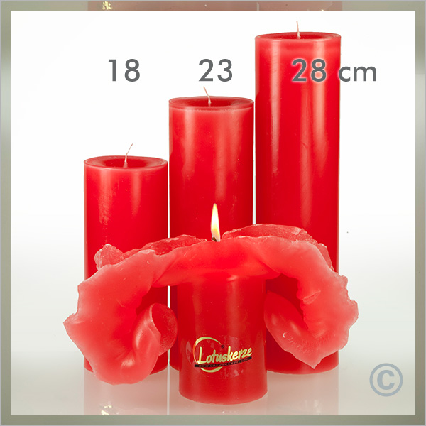Lotus-Kerze Basic-Trend Gr.1 18cm rot
